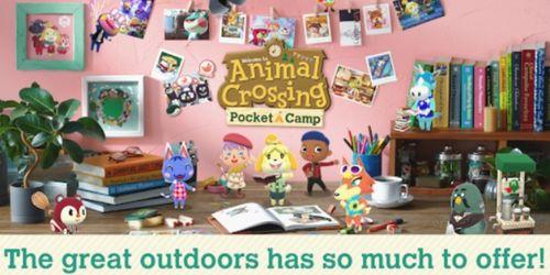 Animal Crossing Game