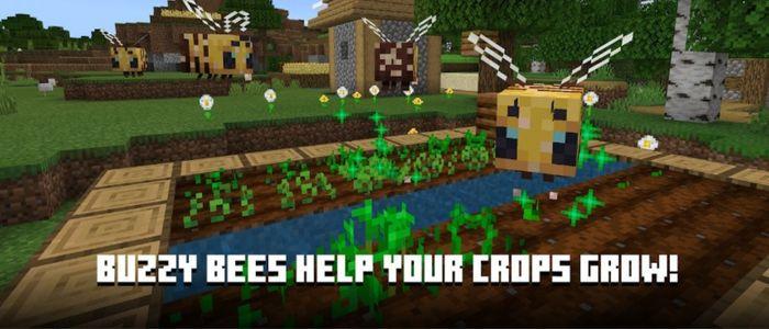 Minecraft Mod Apk Skin